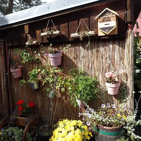 Family House - Zuzana