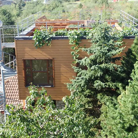 Family House - Zuzana