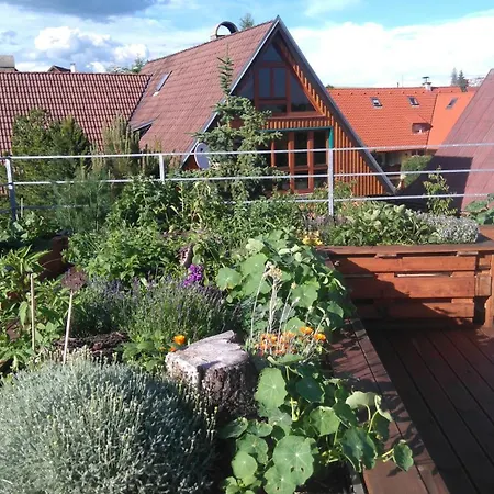 Hytte Family House - Zuzana Stará Lesná