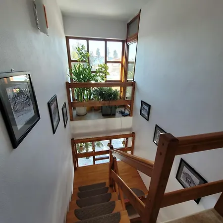 Family House - Zuzana Stará Lesná