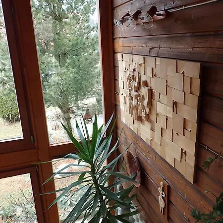 Family House - Zuzana