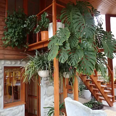 Family House - Zuzana Lodge *