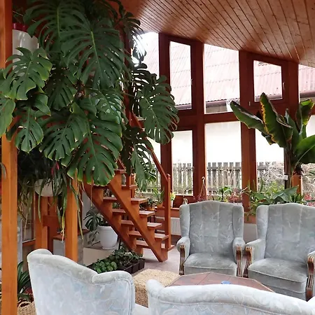 Hytte Family House - Zuzana Stará Lesná