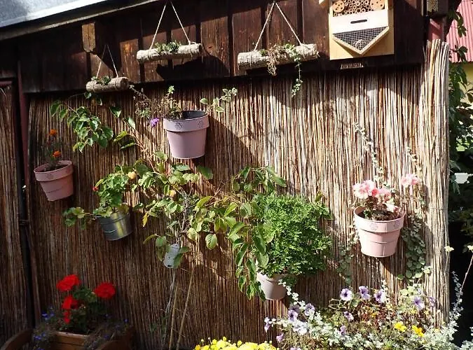 Family House - Zuzana