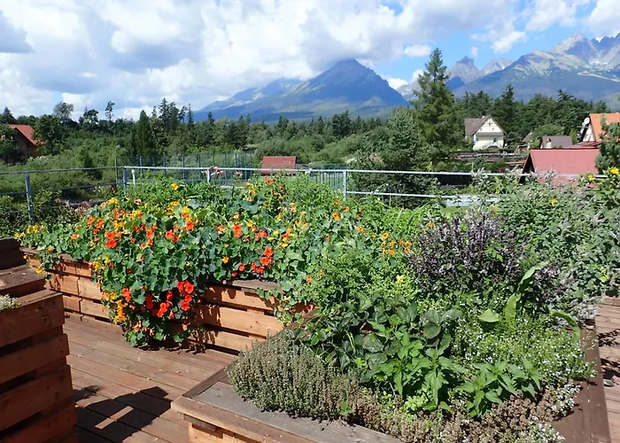 Family House - Zuzana Lodge Stara Lesna