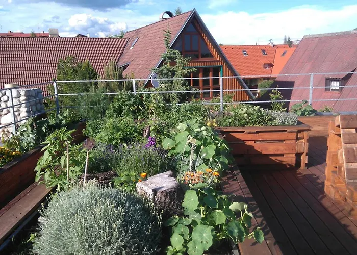 Lodge Family House - Zuzana Stara Lesna