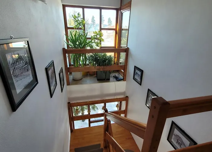 Family House - Zuzana Stara Lesna