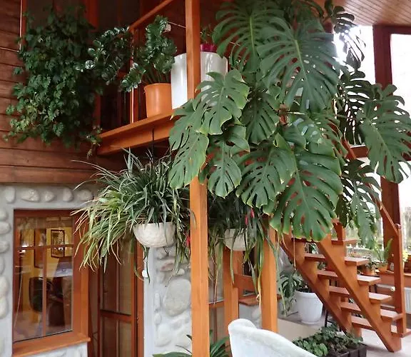 Family House - Zuzana Lodge *